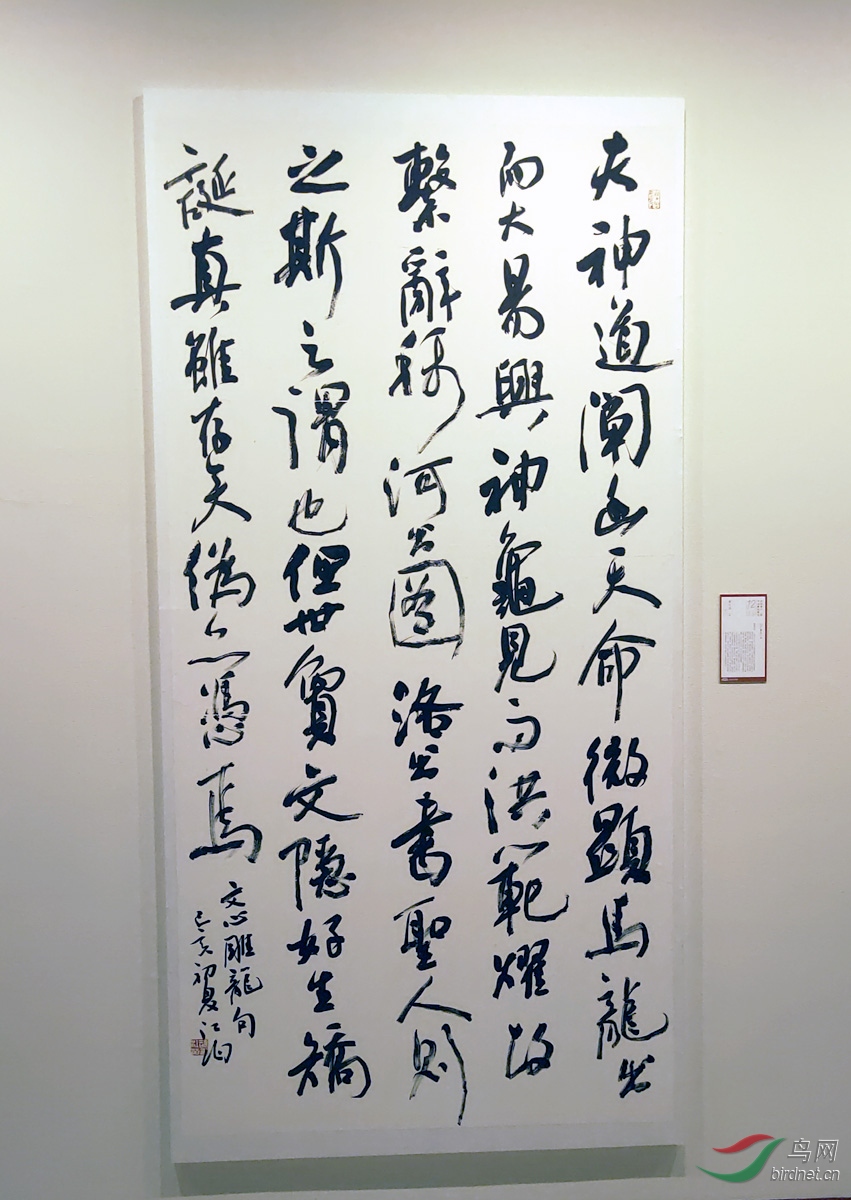 IMG20191212113256.jpg
