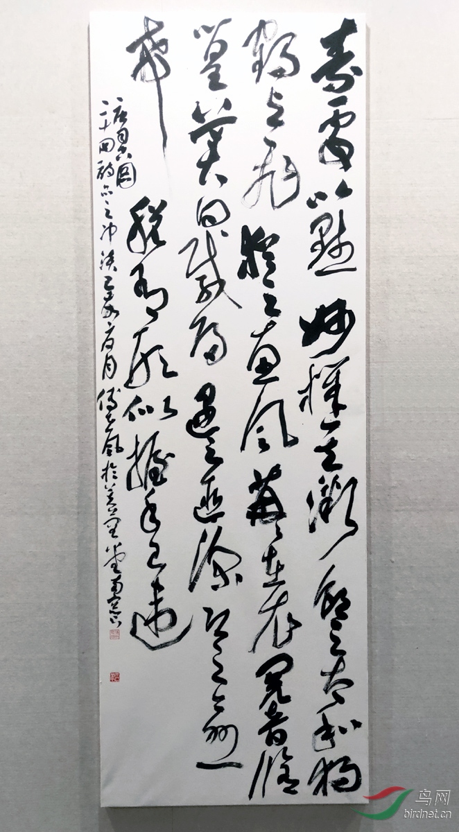 IMG20191212114223.jpg
