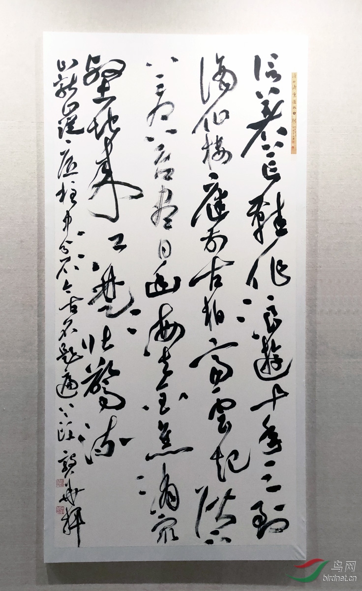 IMG20191212114741.jpg