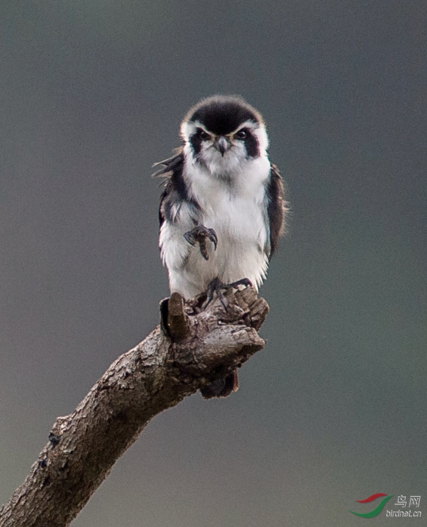 DSC_7497-1.jpg