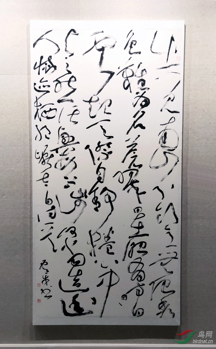 IMG20191212114310.jpg