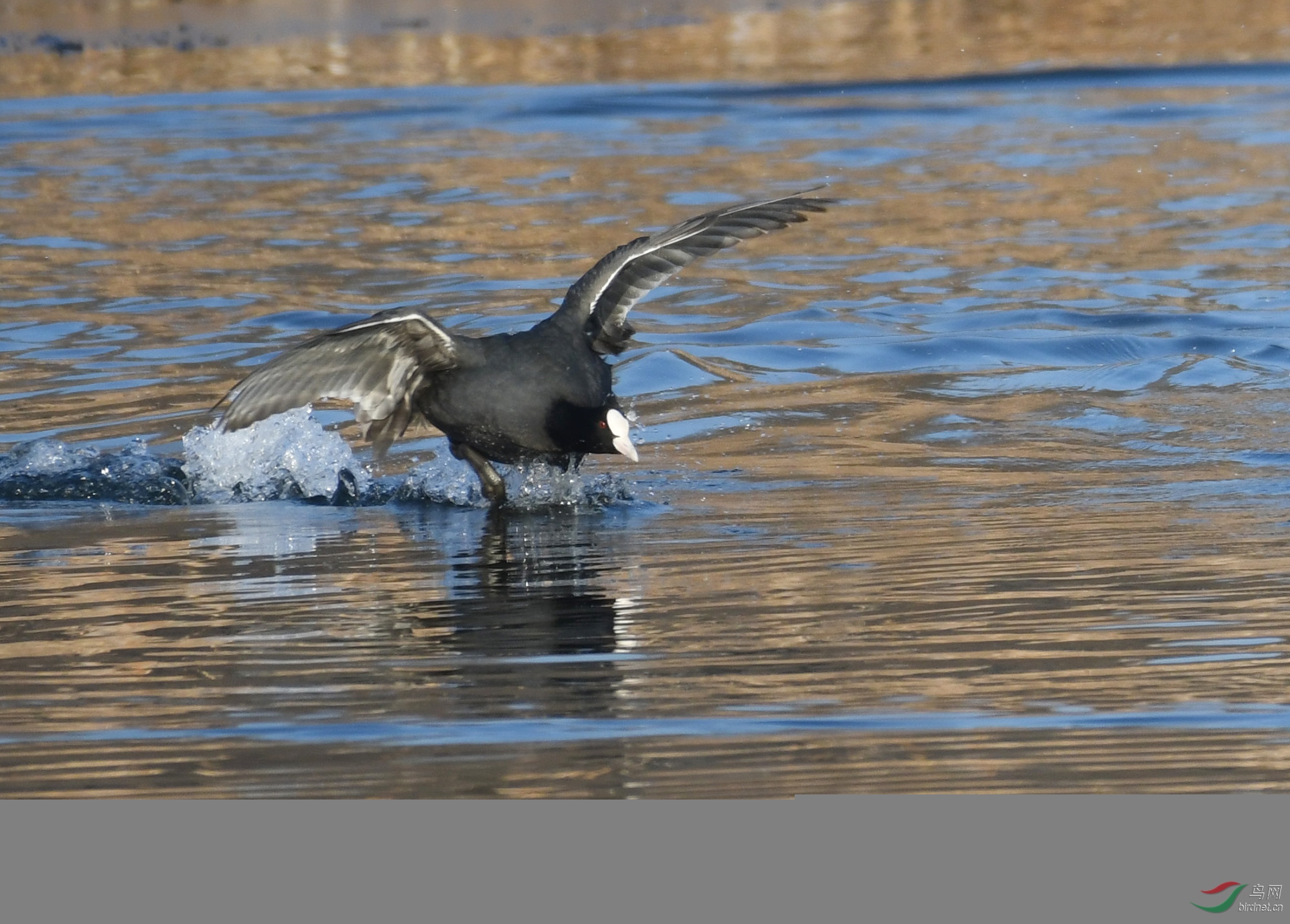 ������Ӱ 054����.jpg