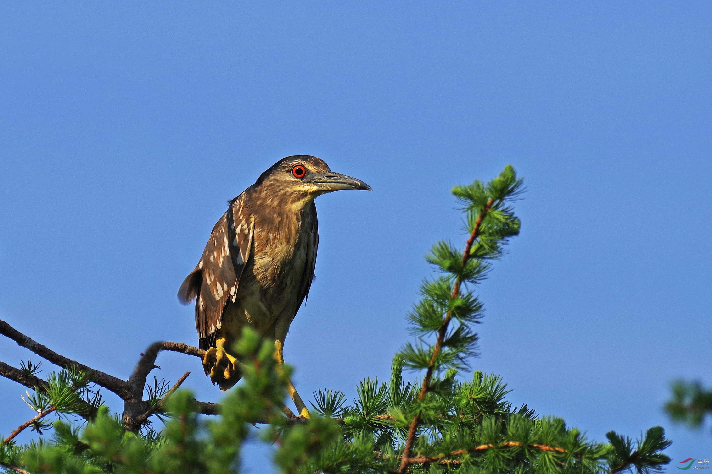 丹东市振兴区东江寺