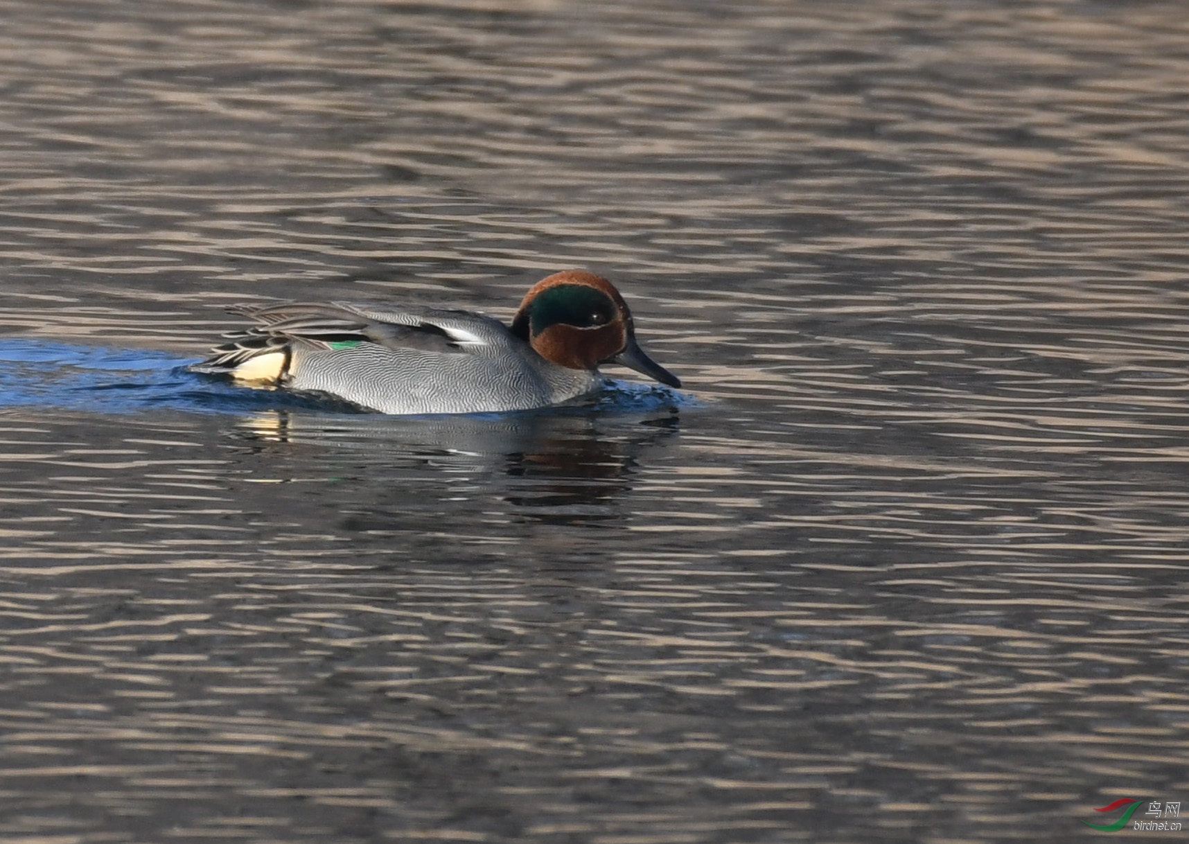 ������Ӱ 135����.jpg