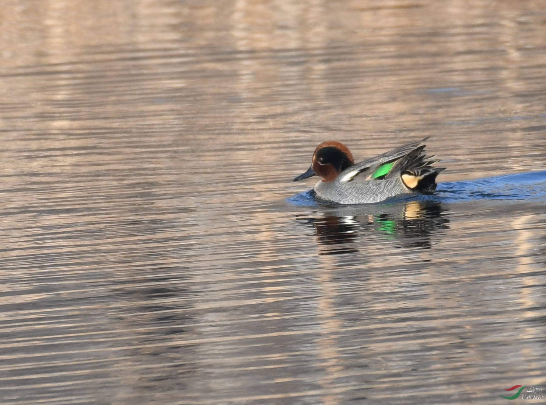 ������Ӱ 266����.jpg