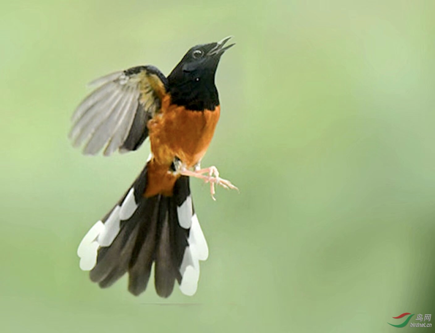 3DE4FD8B-163E-419D-B3BF-523FD40F7DDF.jpeg