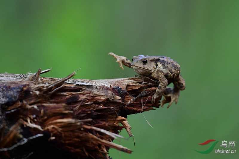 �л������ (12).jpg