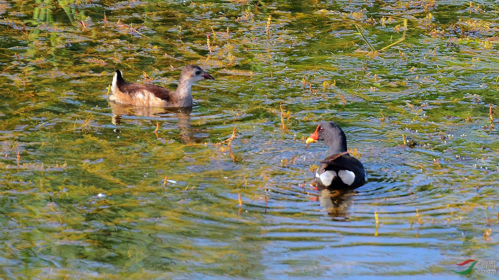 DSC_6458.JPG
