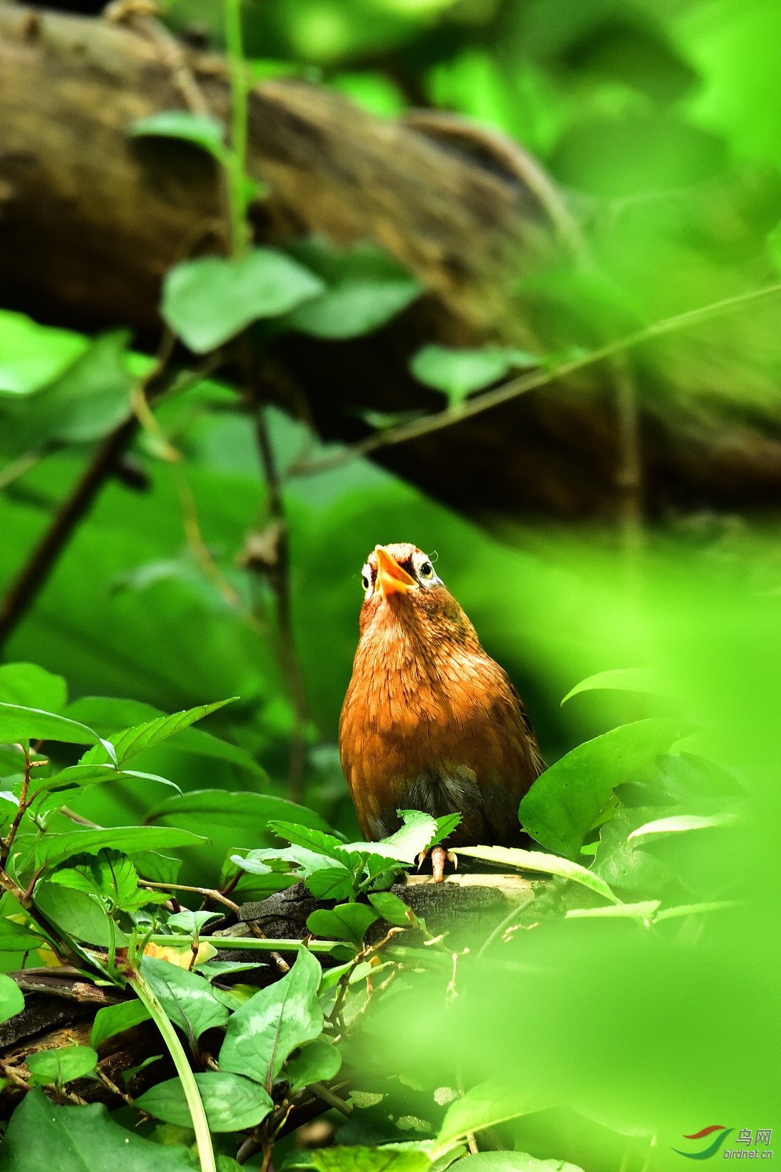 DSC_0877.JPG