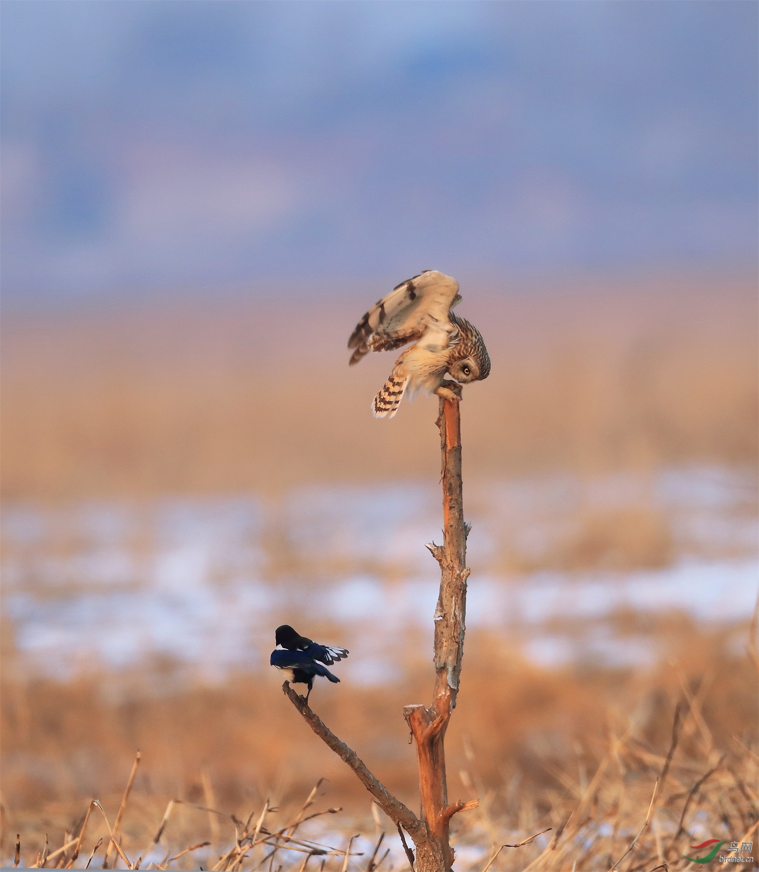 23 - ����.JPG