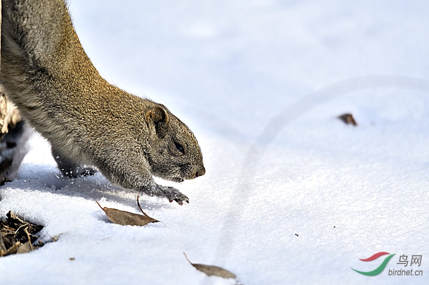 _DSC9603_00001_����.jpg