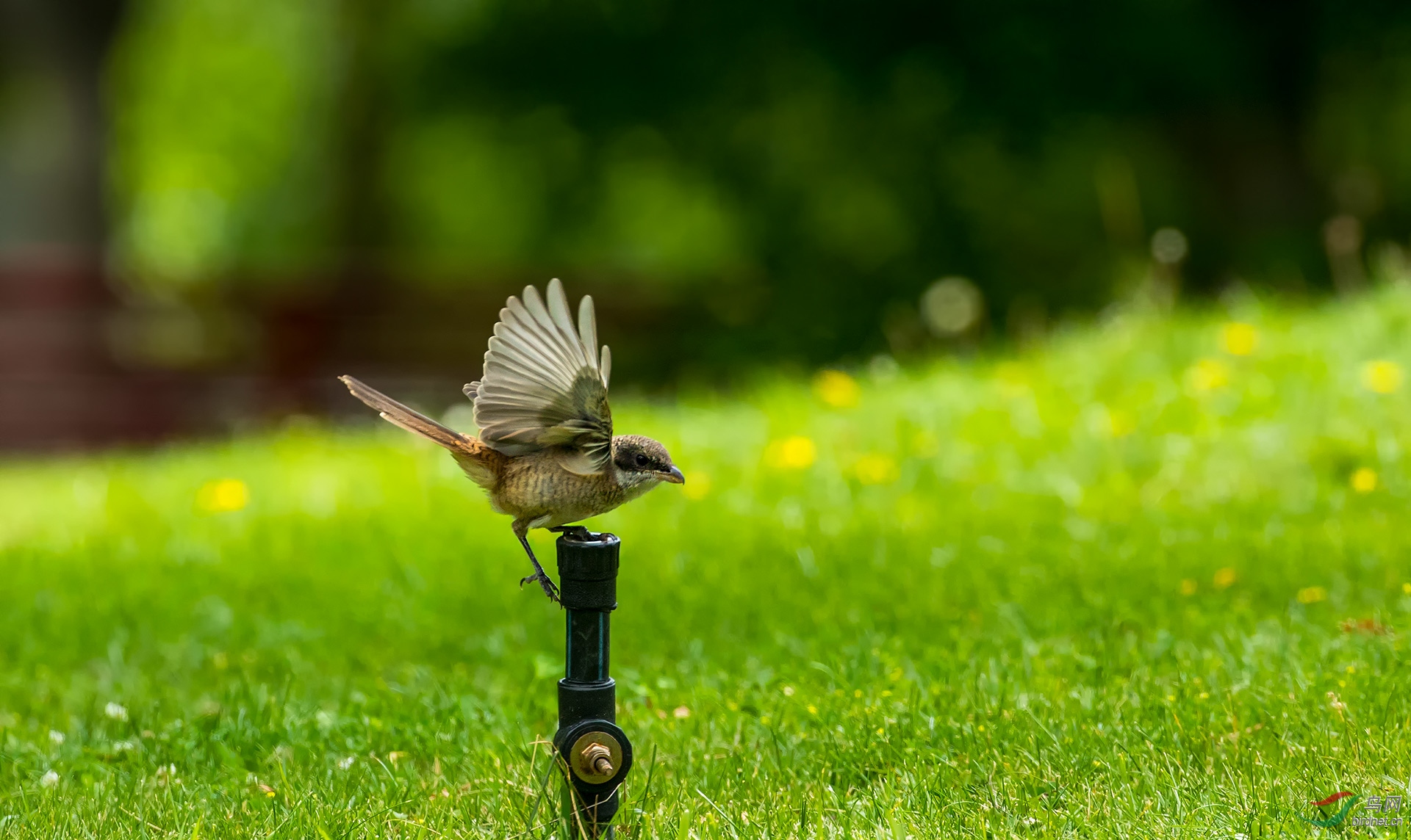 014A7583.jpg