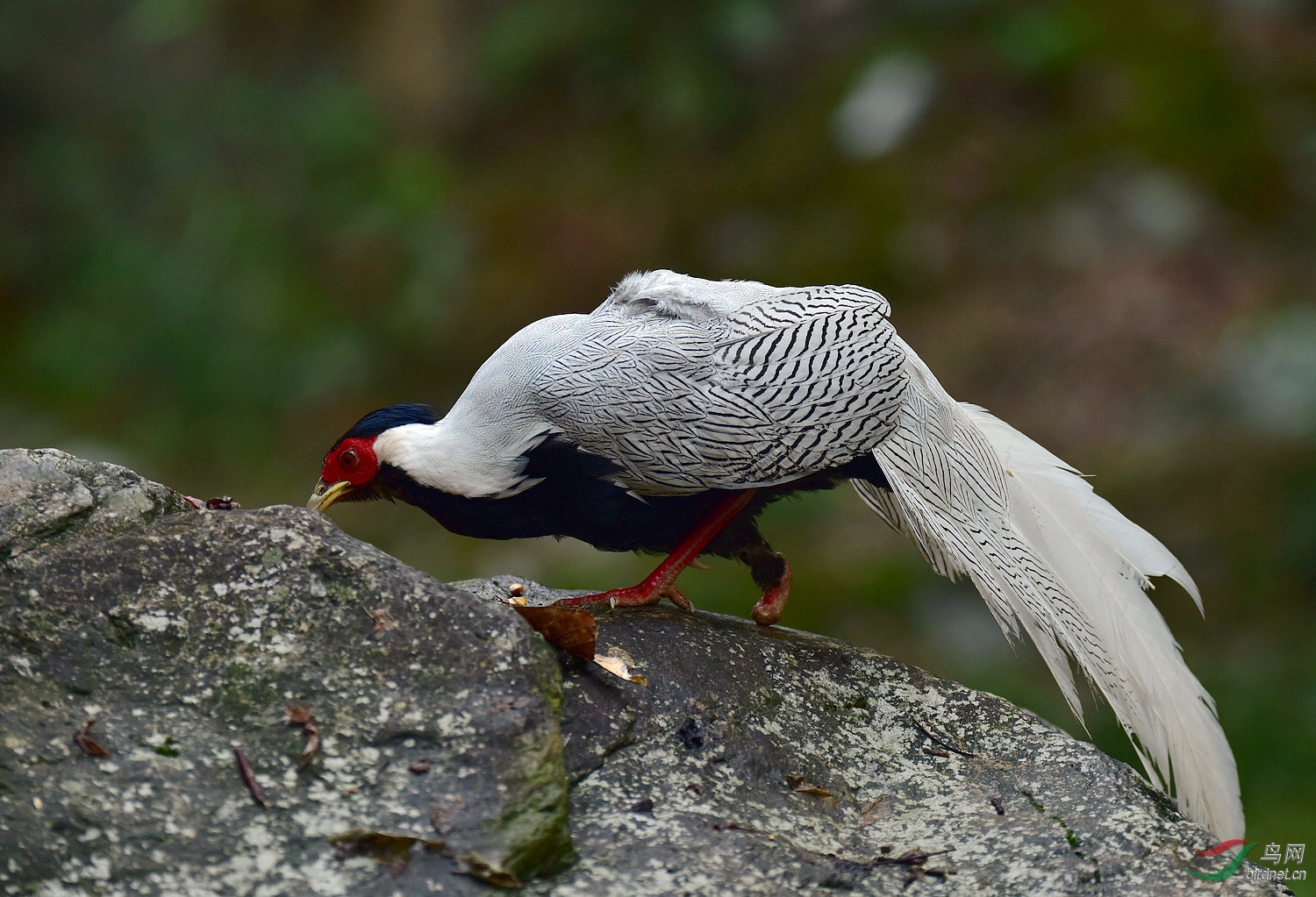D8I_3983.jpg