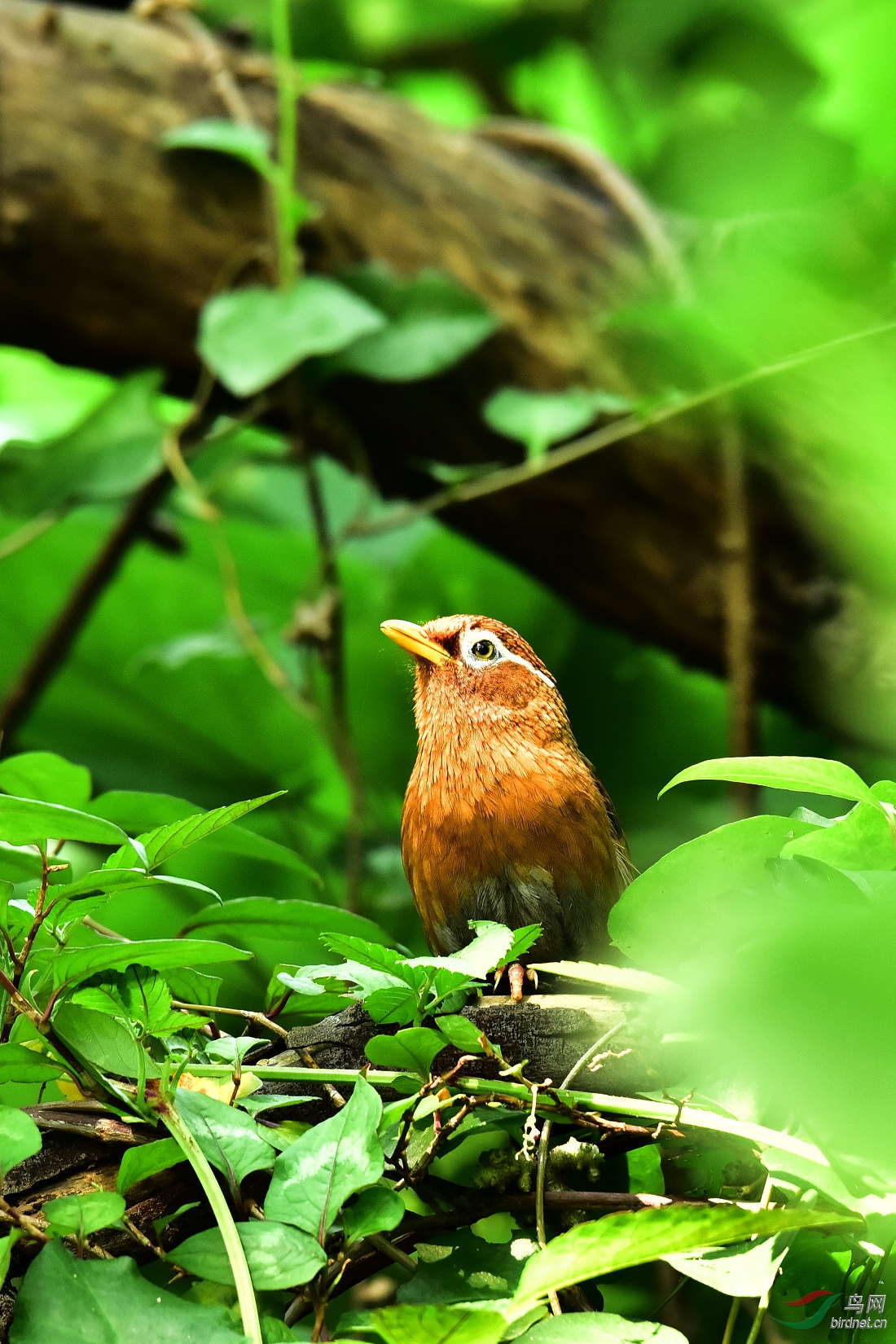 DSC_0880.JPG