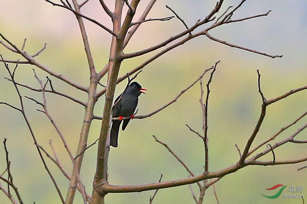 A04C6993.jpg