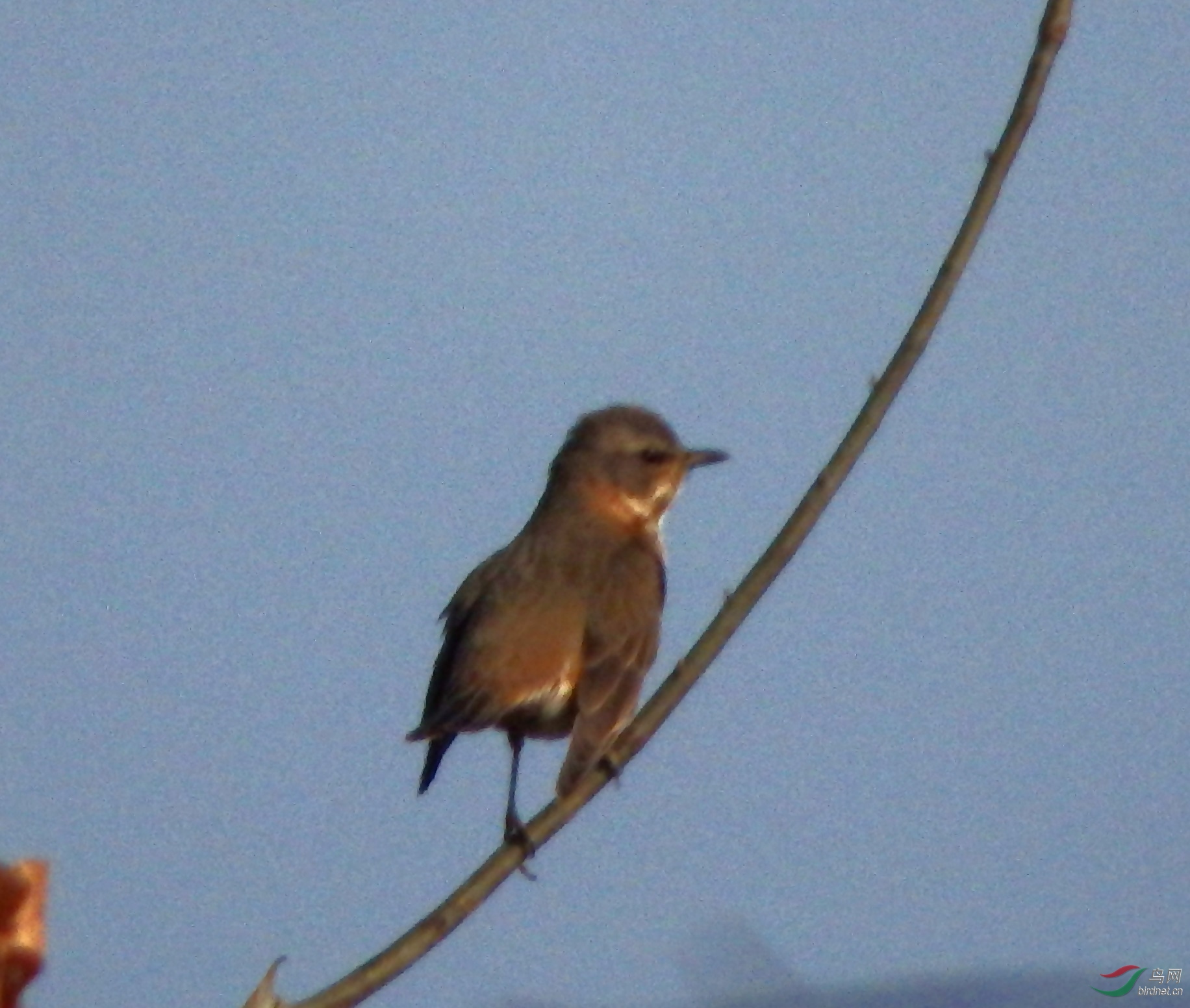 P1140545.JPG