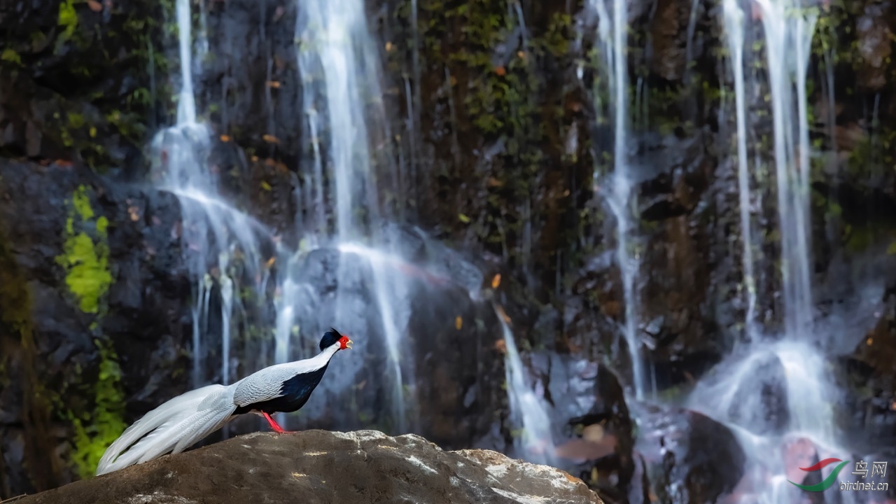 �����Ը߸衷