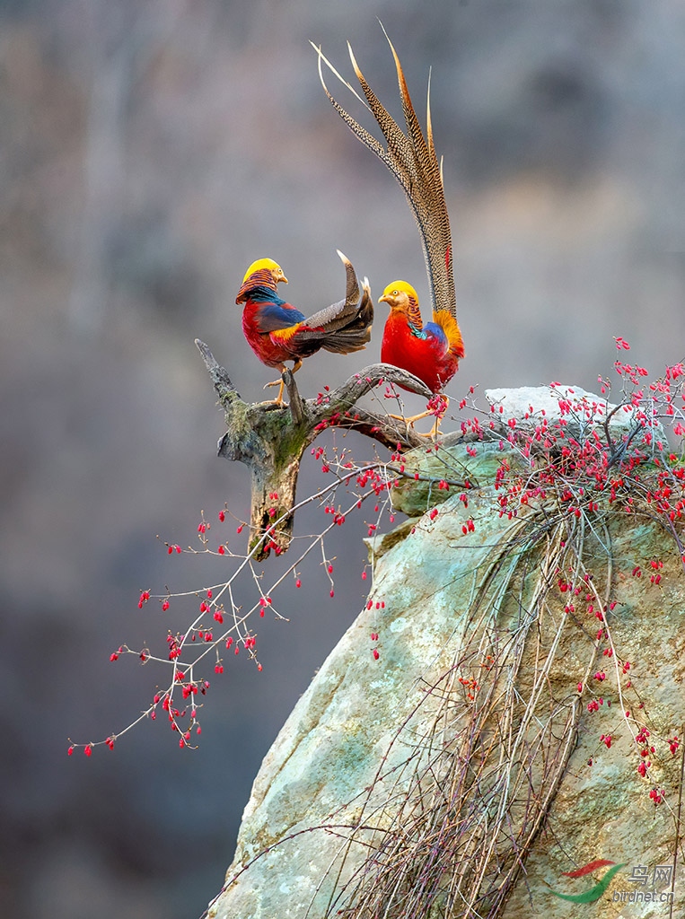 A09J5770-2.jpg