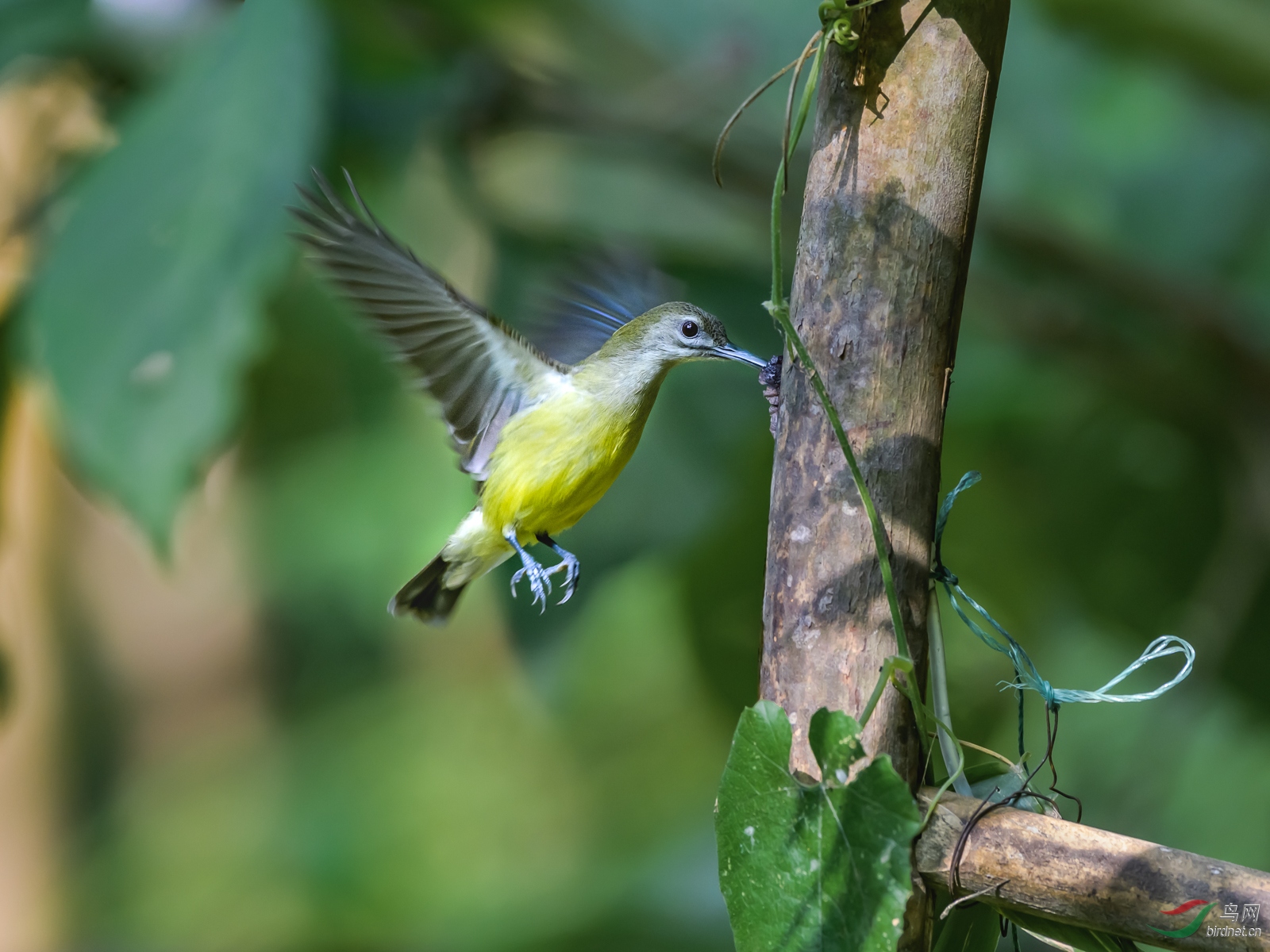 DSC_3521.jpg