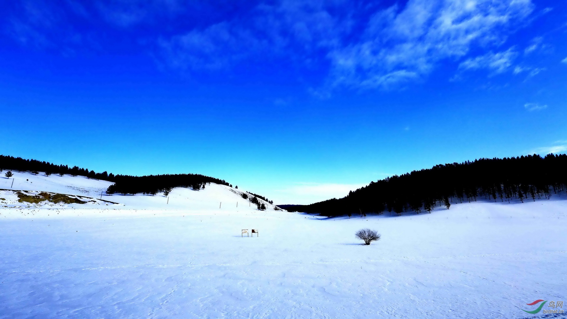 滦平 林海雪原图片