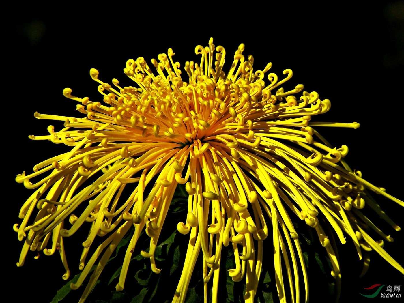 DSCN2967.JPG