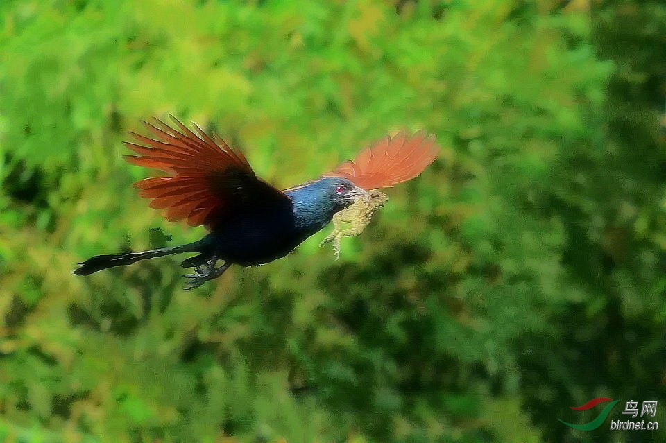 DSC_3702.jpg