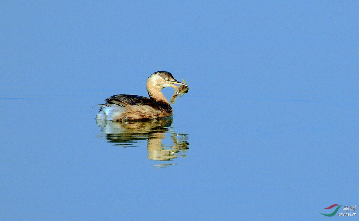 DSC_7909.JPG