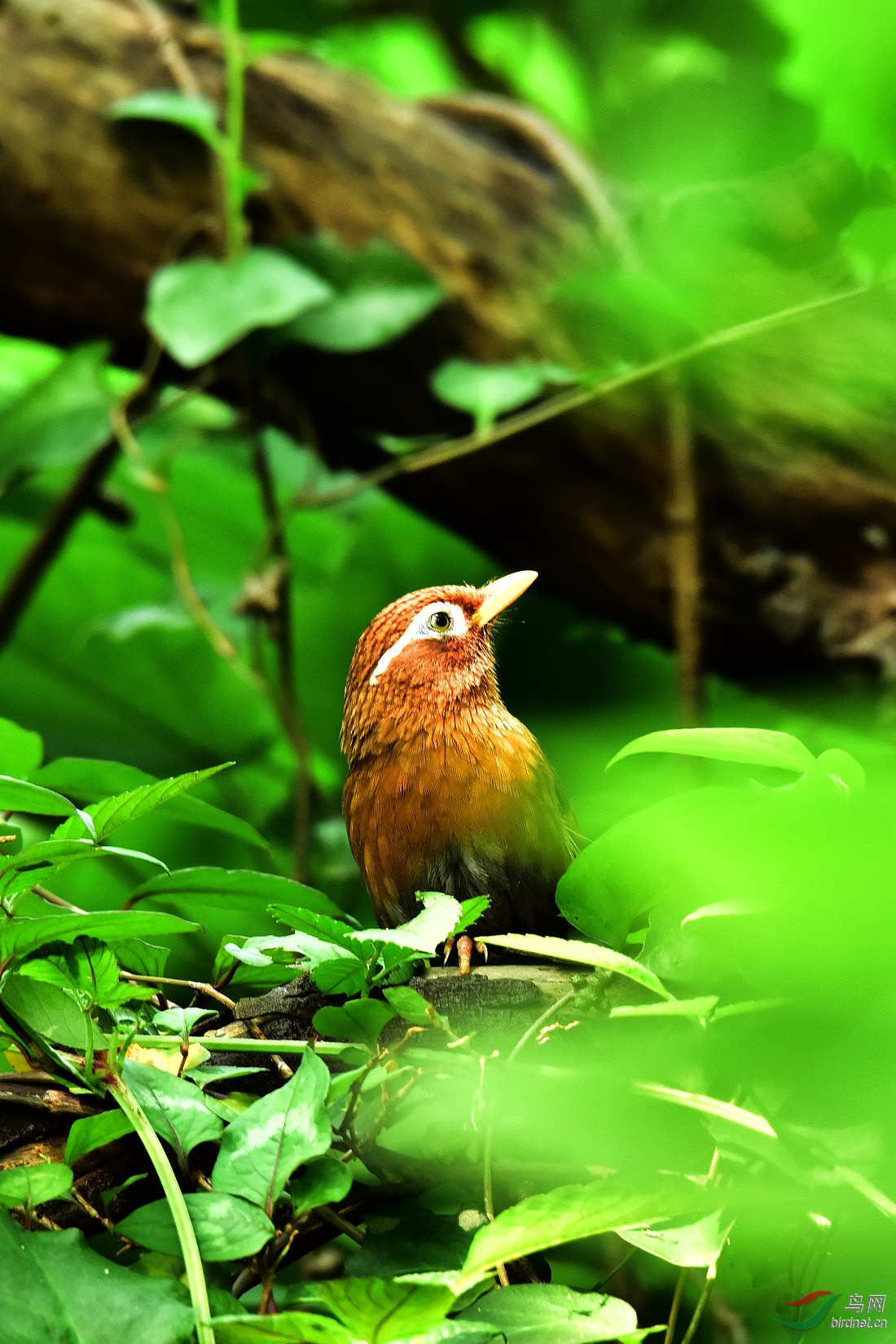 DSC_0888.JPG