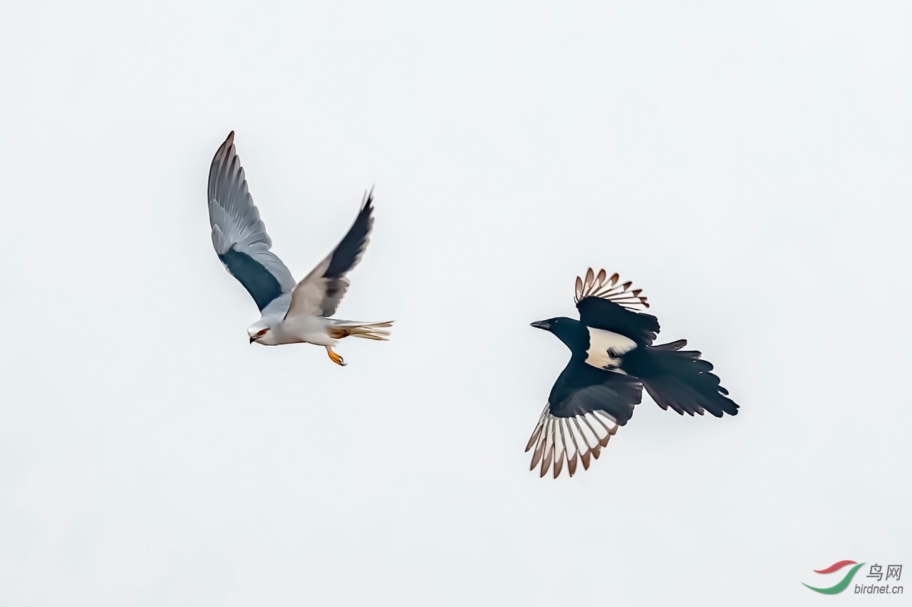 �����ϡ�