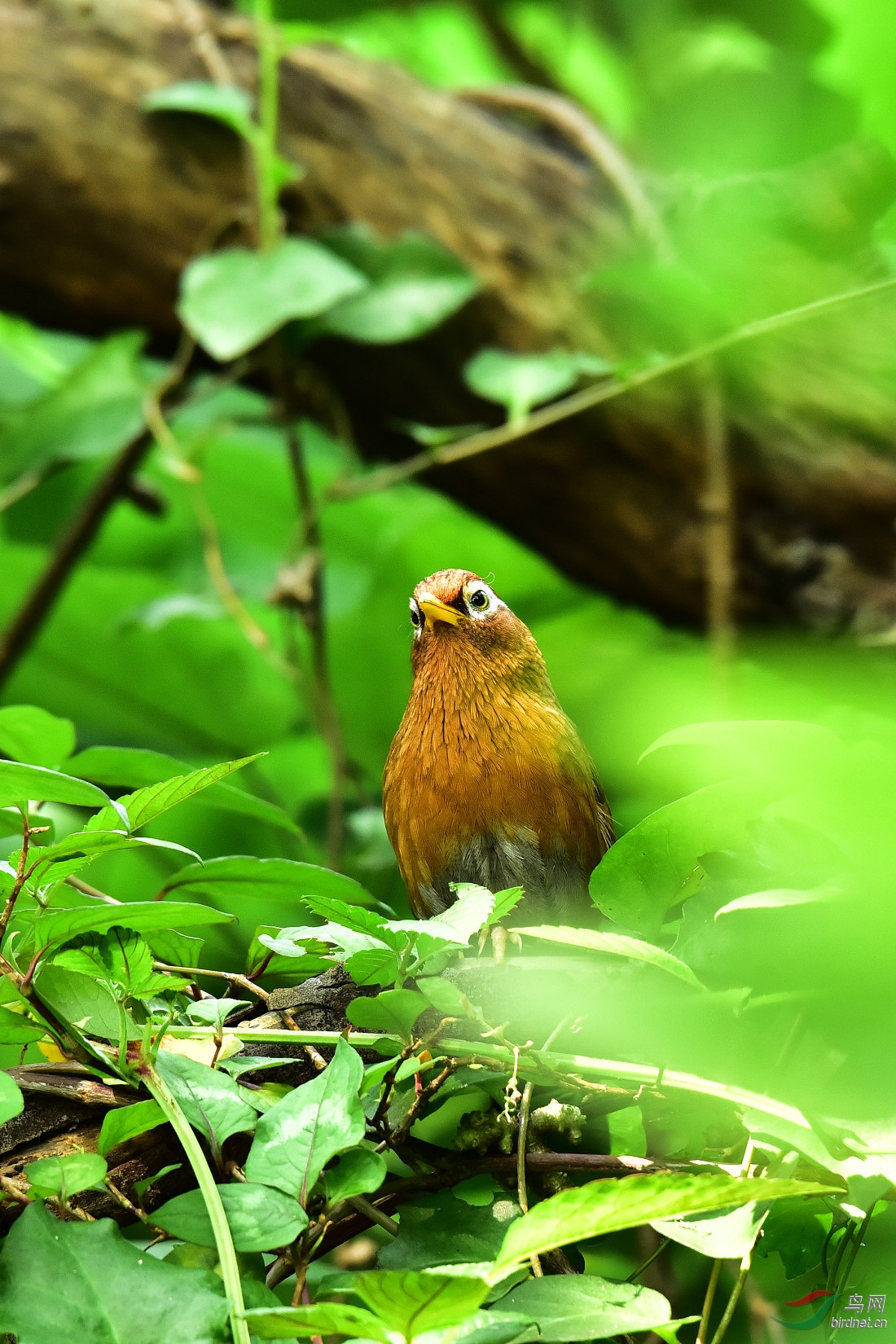DSC_0890.JPG