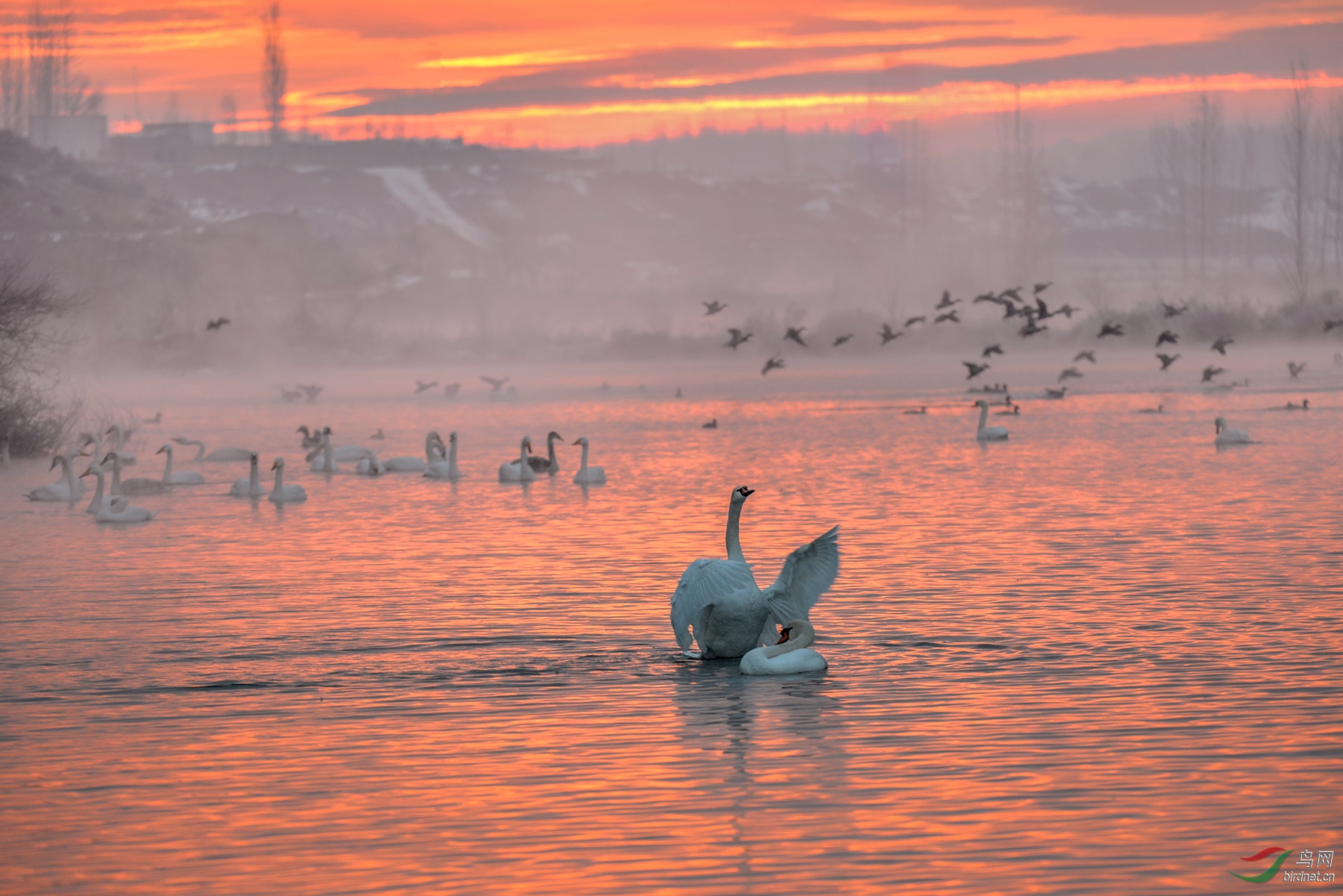 DSC_6056-2_����.jpg