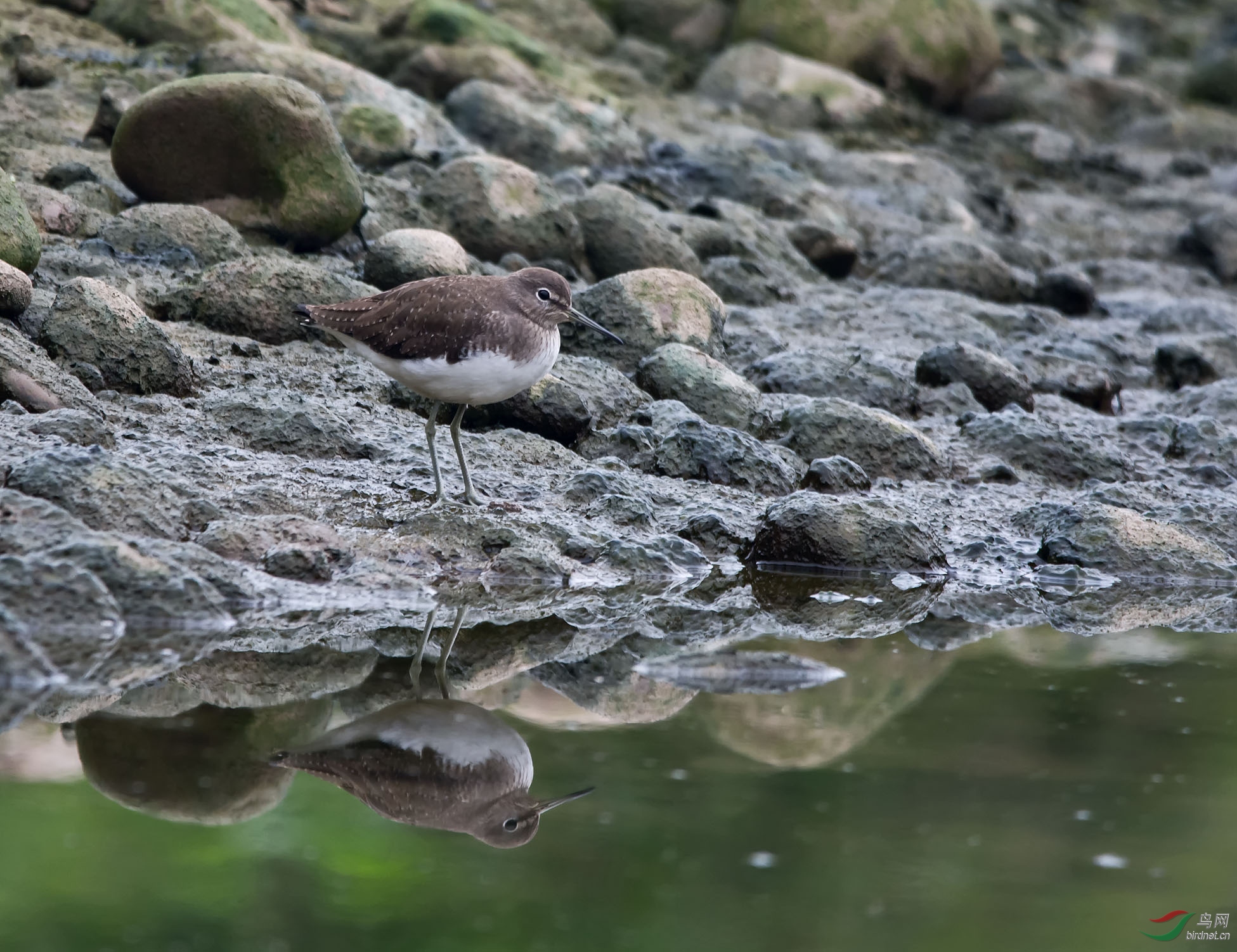DSC_1675.jpg