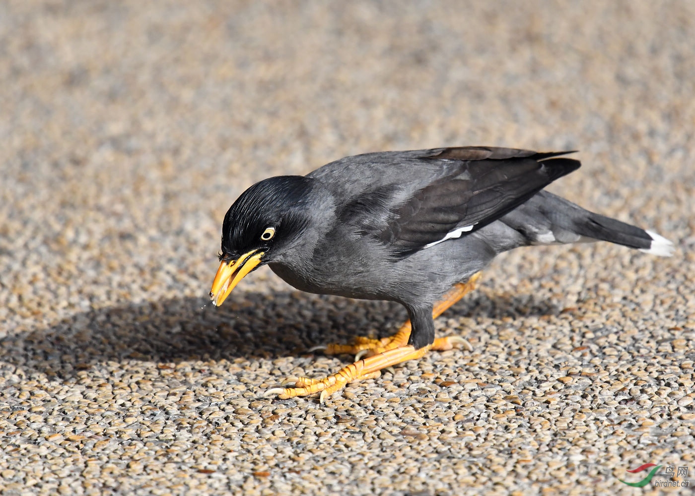 DSC_2653.jpg