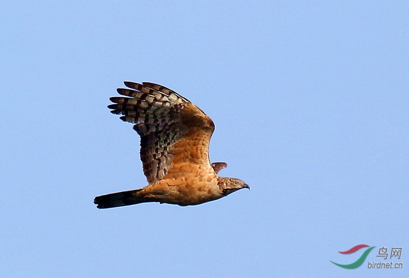 A04C4773-s.jpg