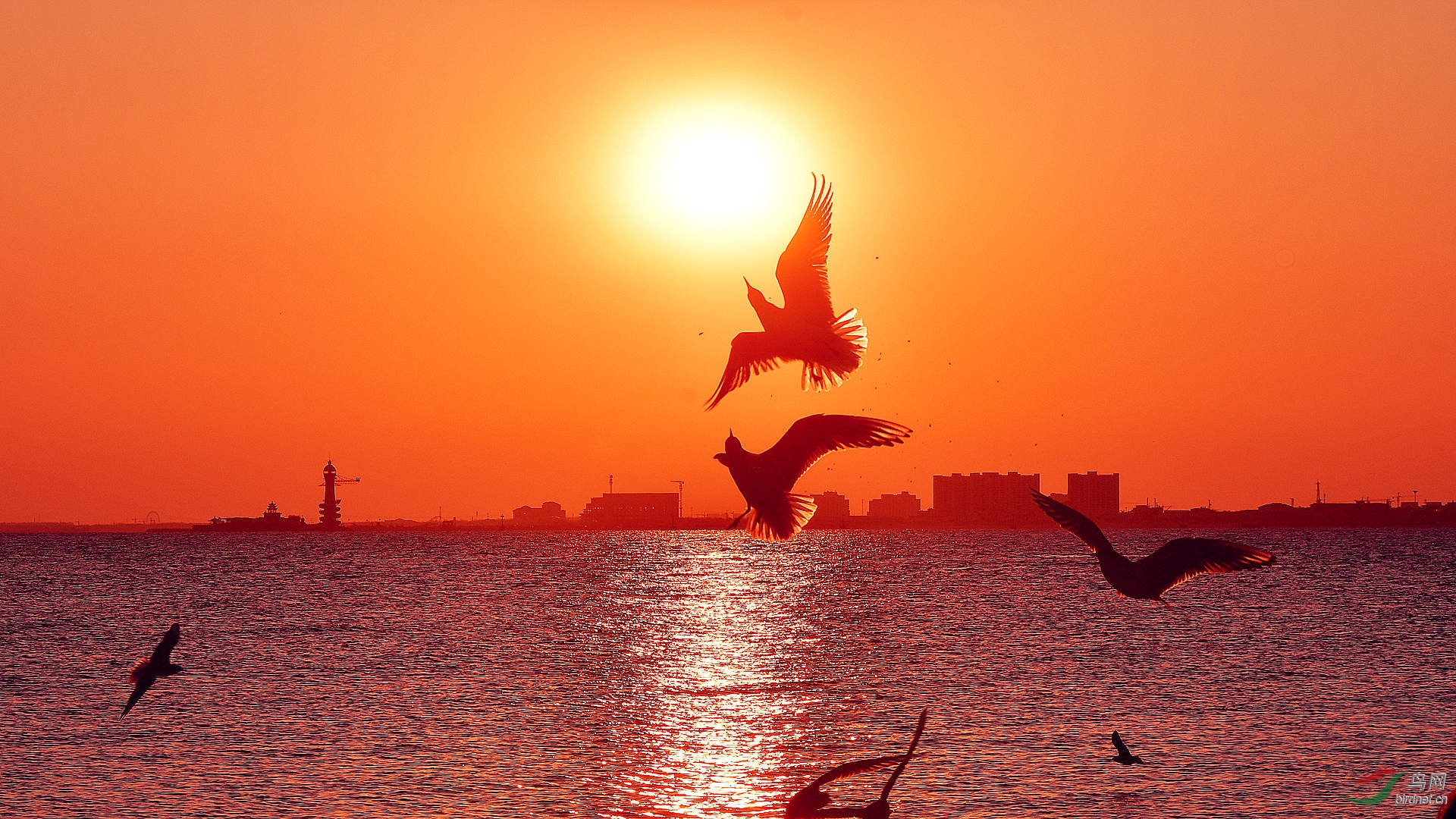 日落日出又一年