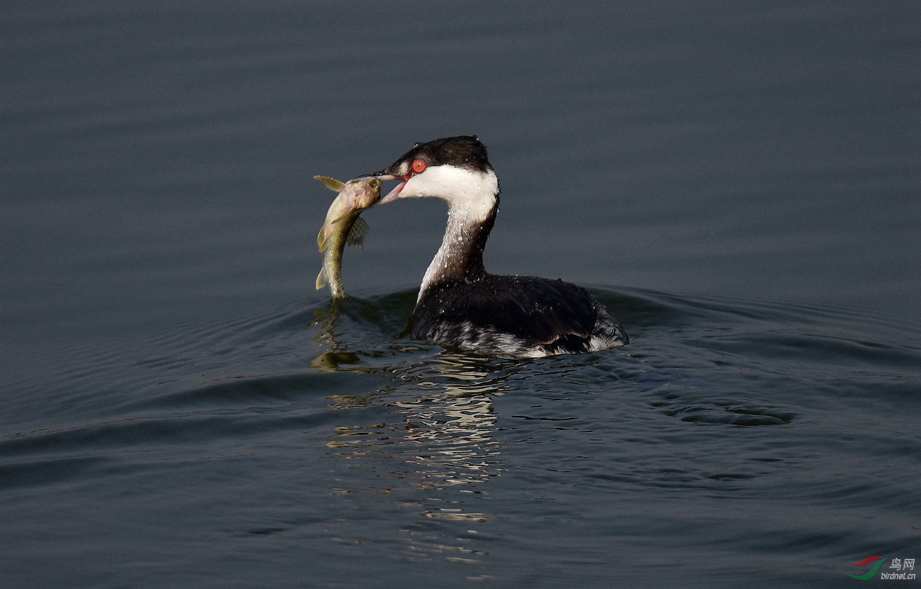 DSC_5213.jpg