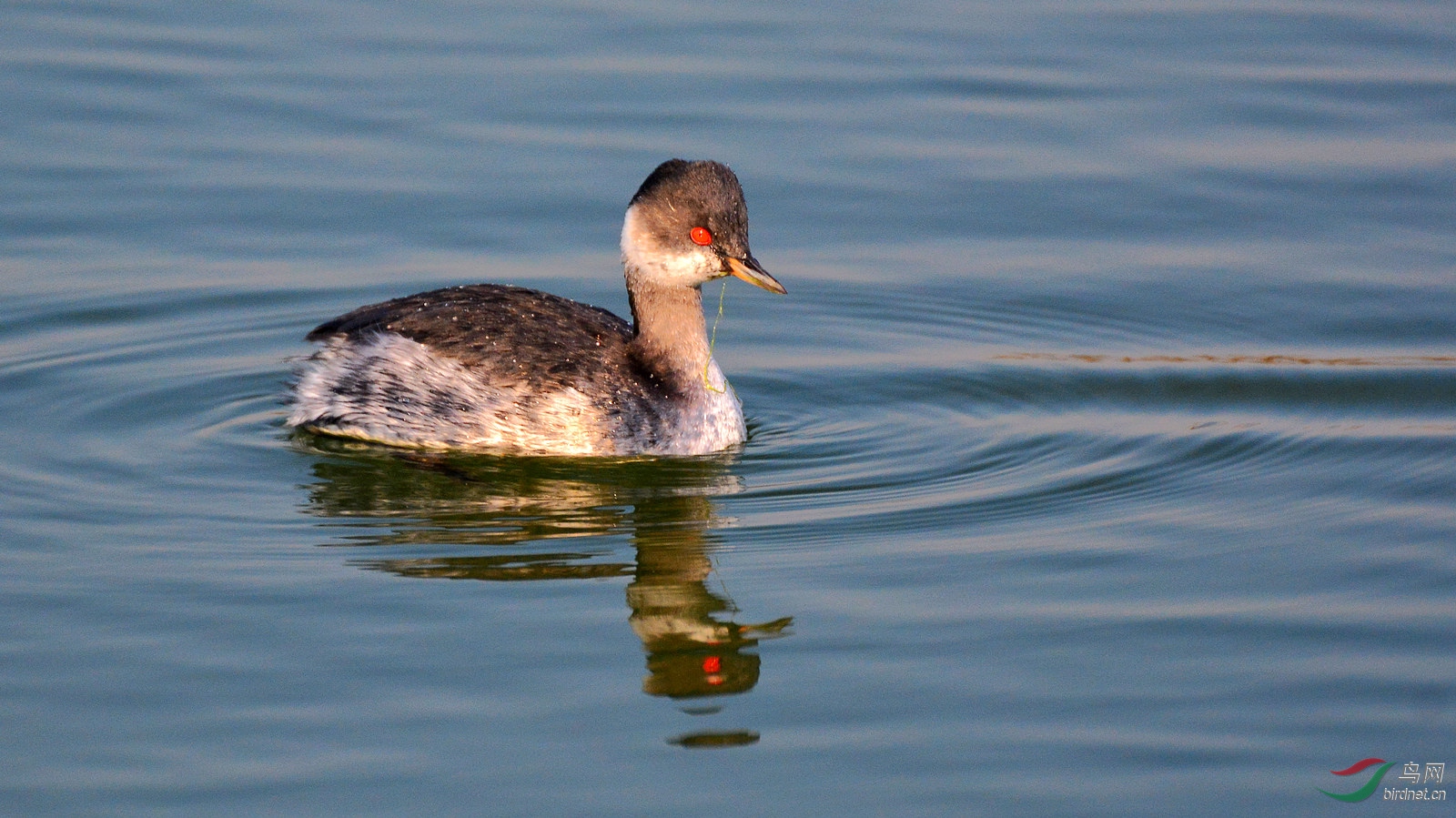 DSC_6199.JPG