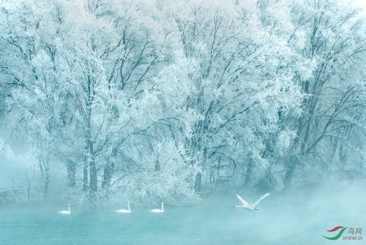 �����о��衷