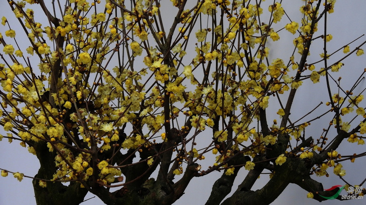 DSCN1525.JPG