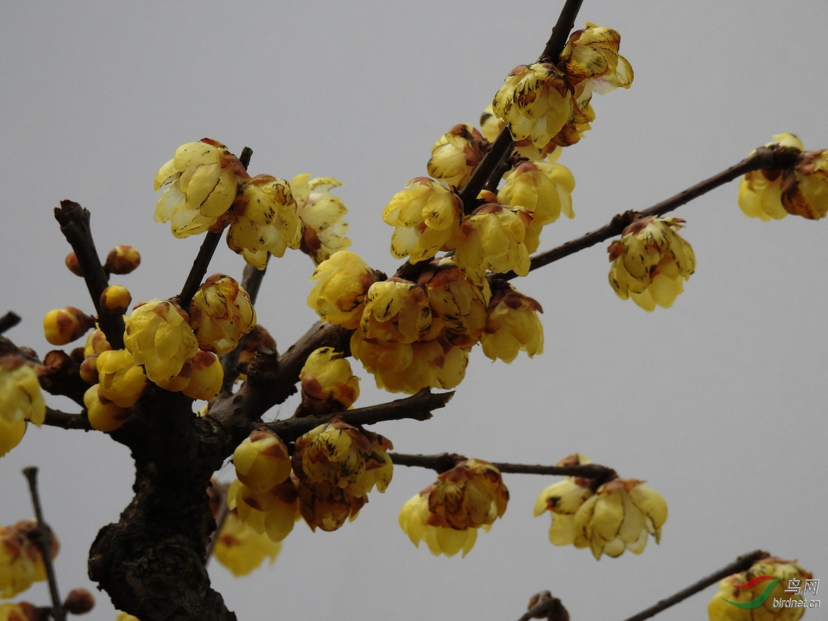 DSCN1544.JPG