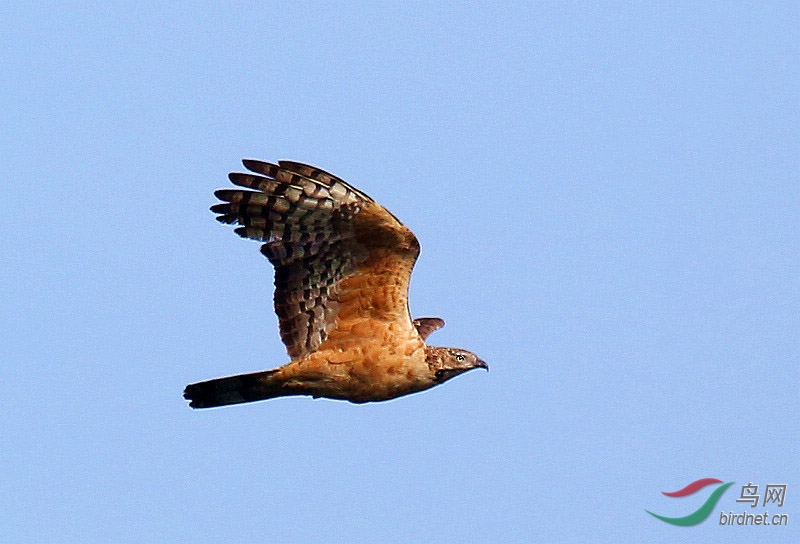 A04C4773-s.jpg