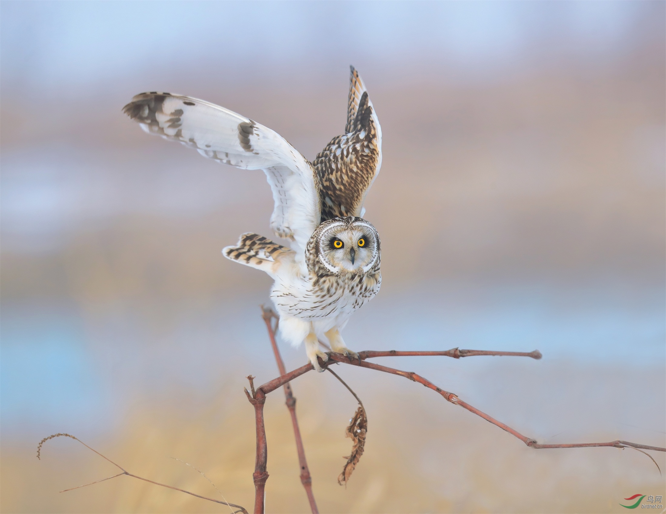 21 - ����.JPG