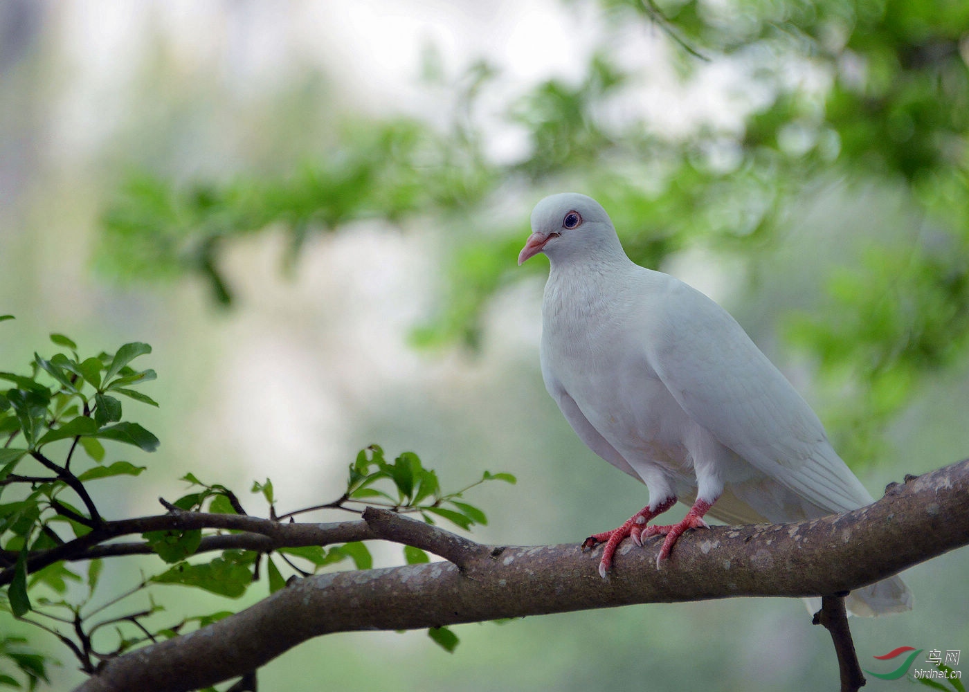 DSC_6356.jpg