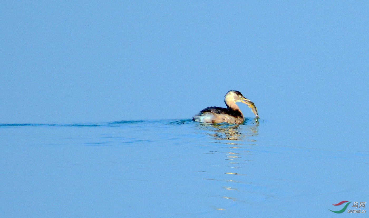 DSC_7926.JPG