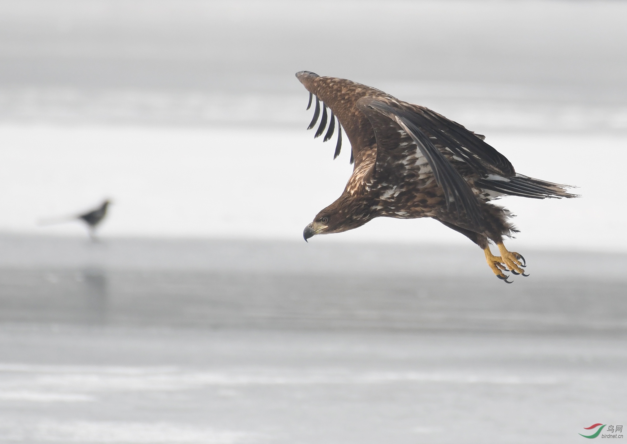 ������Ӱ 2245����.jpg