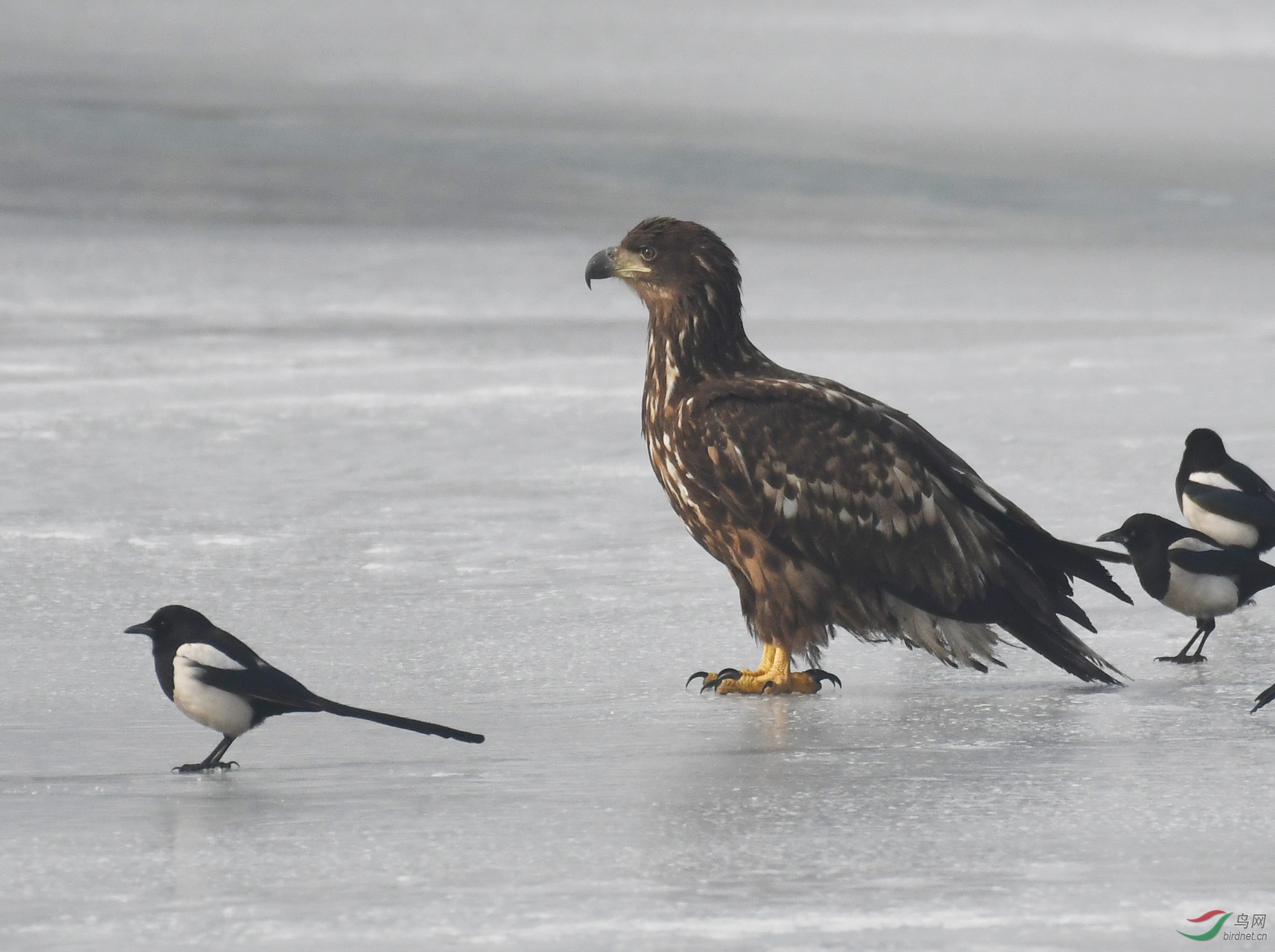 ������Ӱ 3059����.jpg