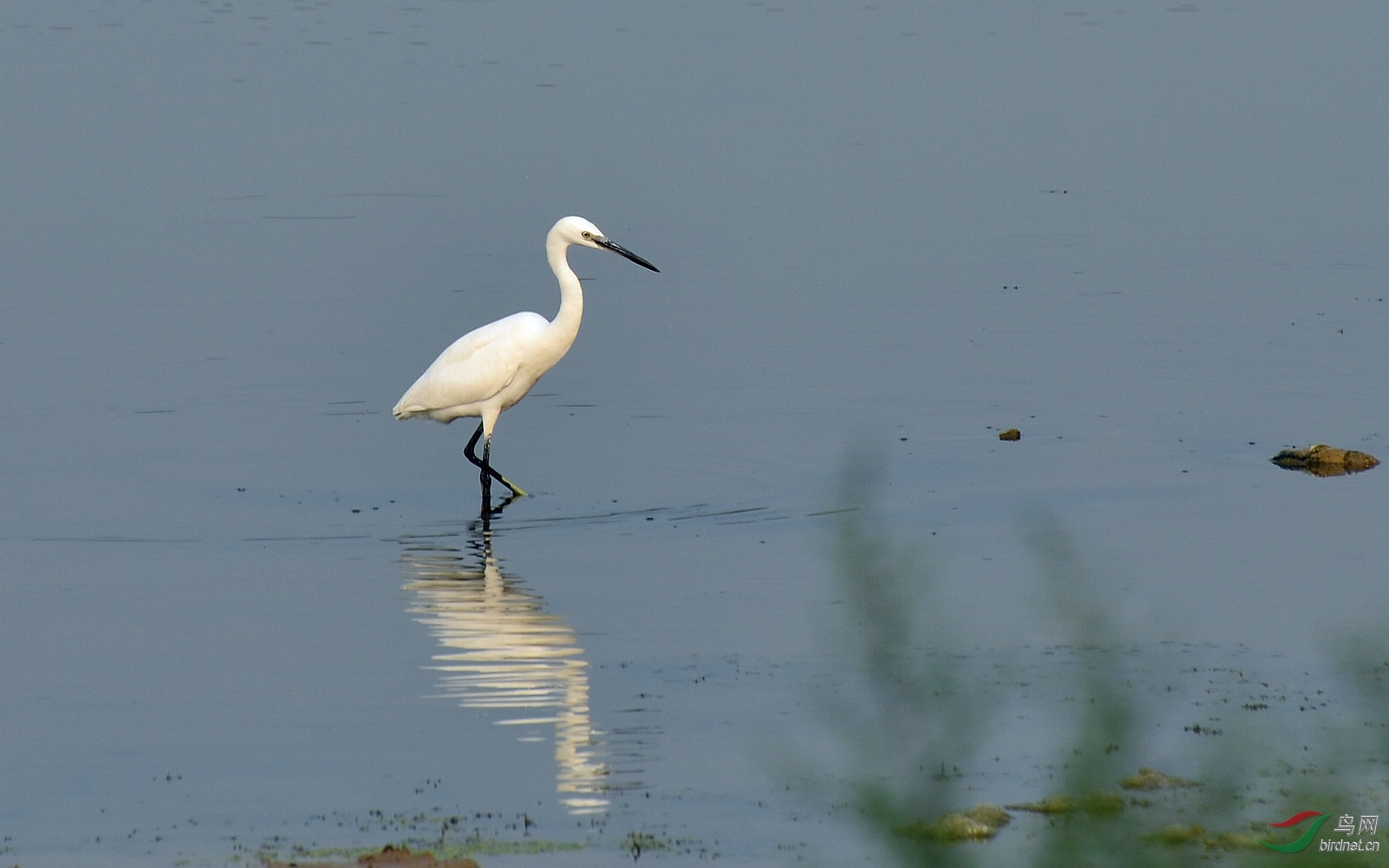 DSC_4857.JPG