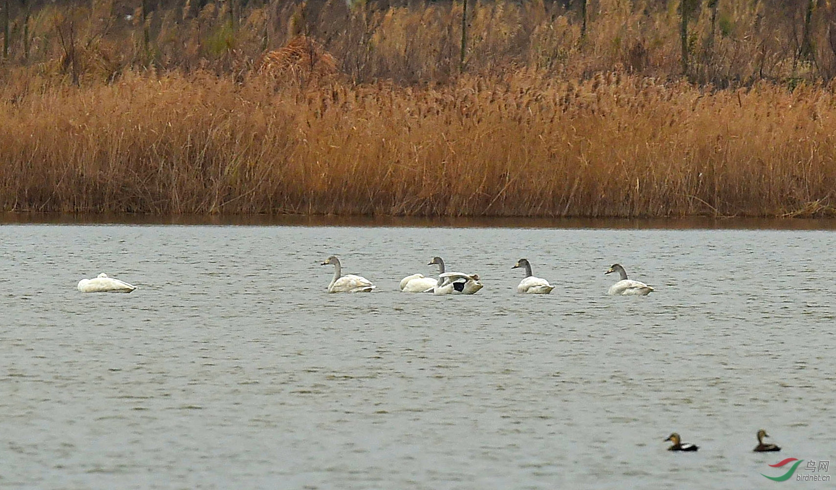 DSC_9343_����.jpg