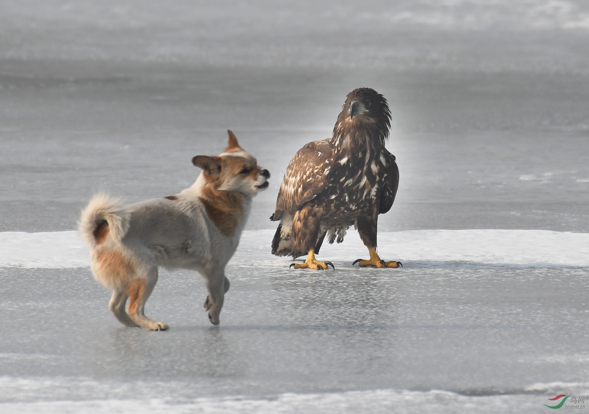 ������Ӱ 2424����.jpg