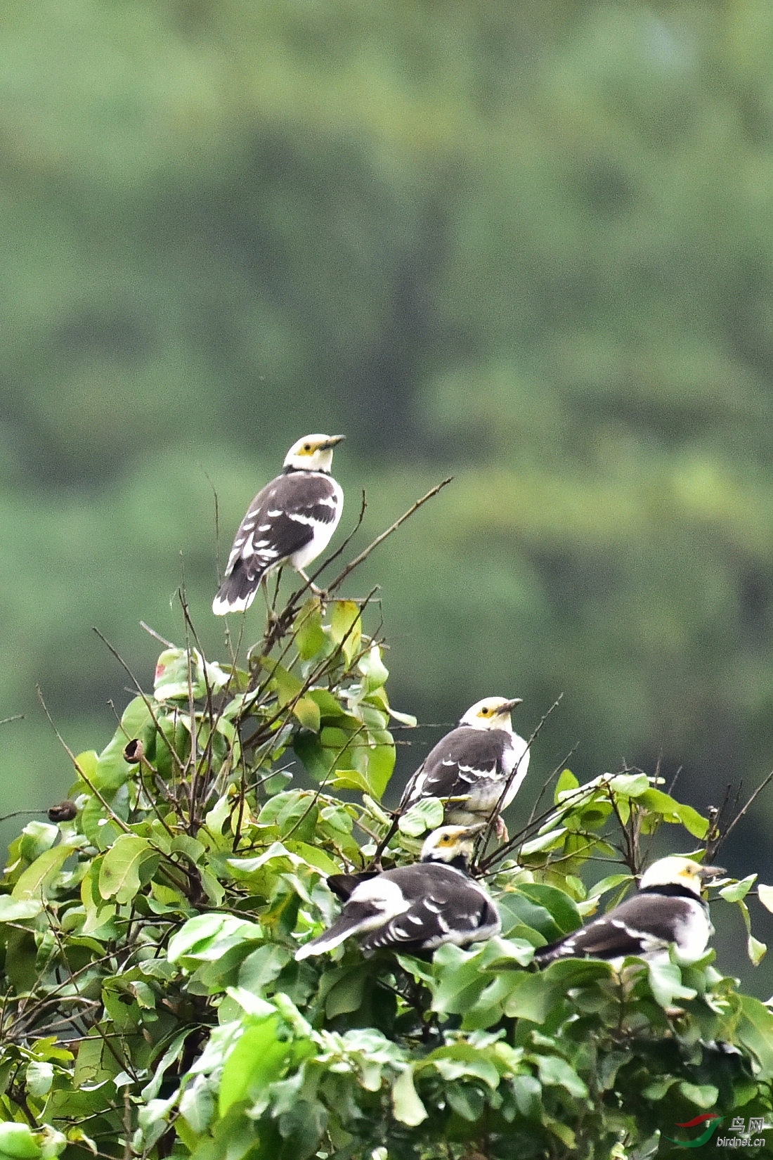 DSC_0909.JPG